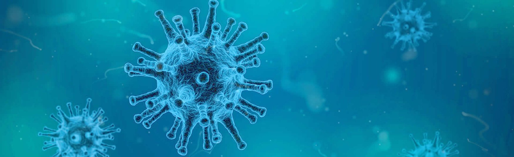 Flu Virus closeup